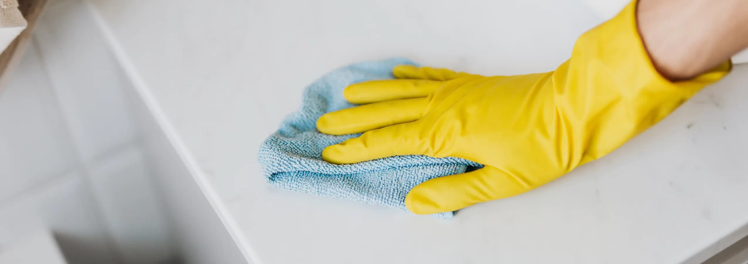 Professional cleaning detail